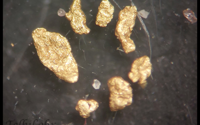 Oro della Vevera