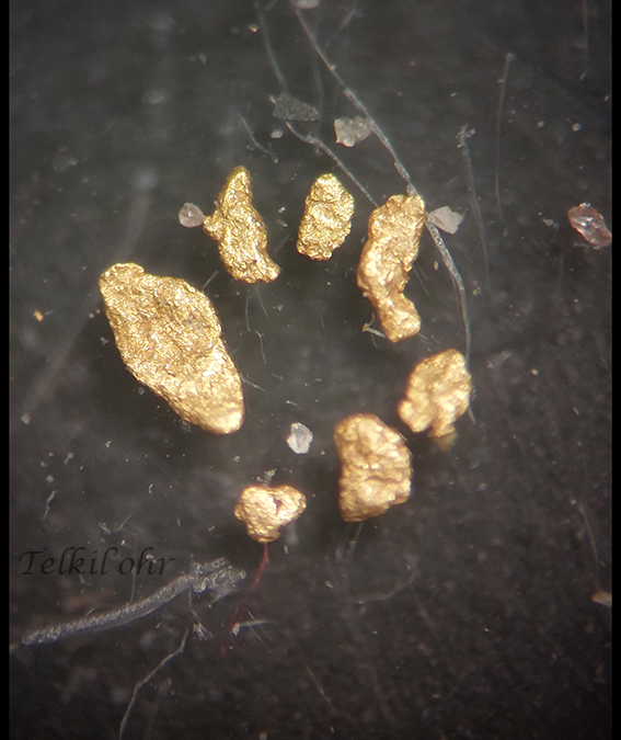 Oro della Vevera
